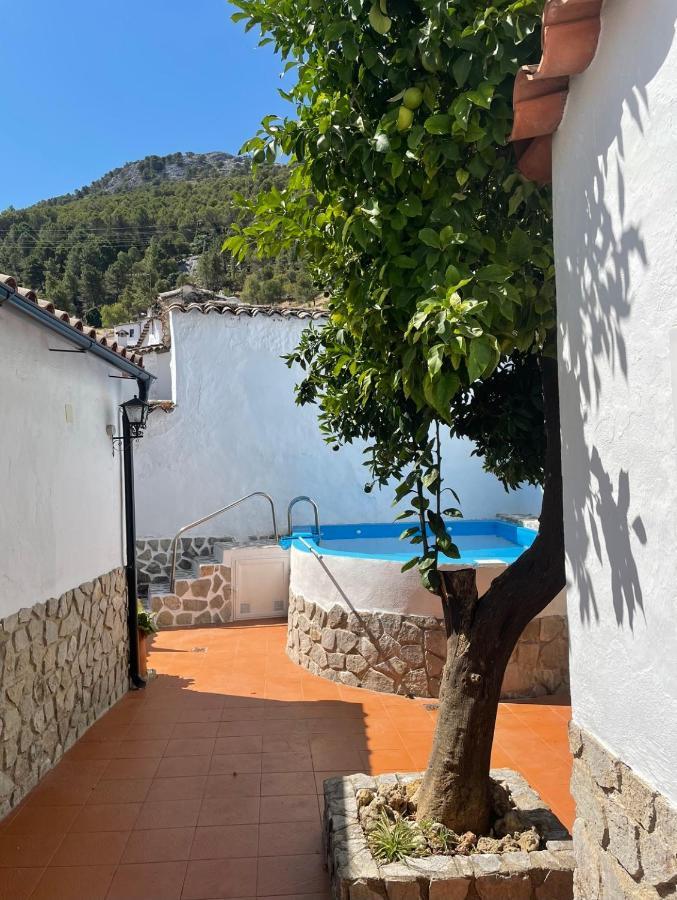La Casa 5 Villa Grazalema Exteriör bild